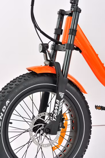 Triciclo elettrico a 3 ruote per carichi pesanti con motore centrale, triciclo elettrico personalizzato per adulti