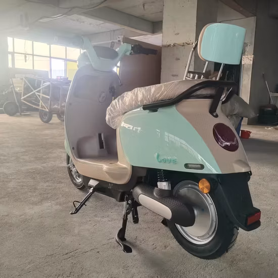 Flymate Sconto ad alta velocità Motocicletta da 1500 W Nuovo design Motociclette elettriche da corsa Moto per scooter elettrico per adulti
