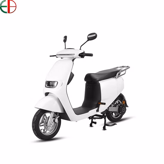 City Bike 1000W/1500W/2000W Motore E Scooter Potenza Motocicletta elettrica Bicicletta elettrica per adulti